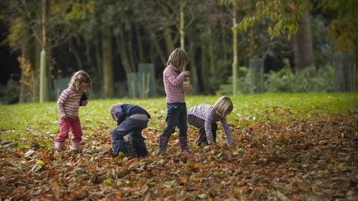 Children collecting conkers in the garden at Mottisfont, Hampshire, in autumn